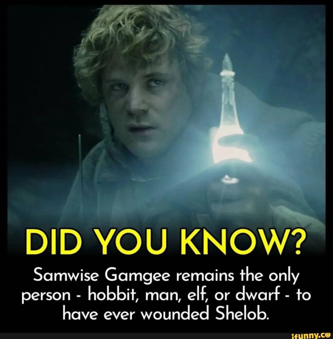 DID YOU KNOW? Samwise Gamgee remains the only person - hobbit, man, elf ...