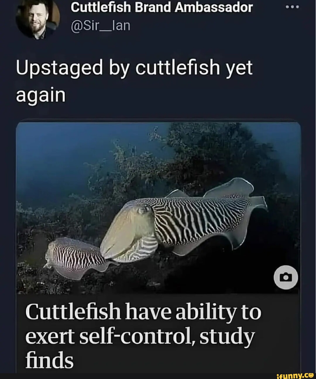 Cuttlefish memes. Best Collection of funny Cuttlefish pictures on iFunny