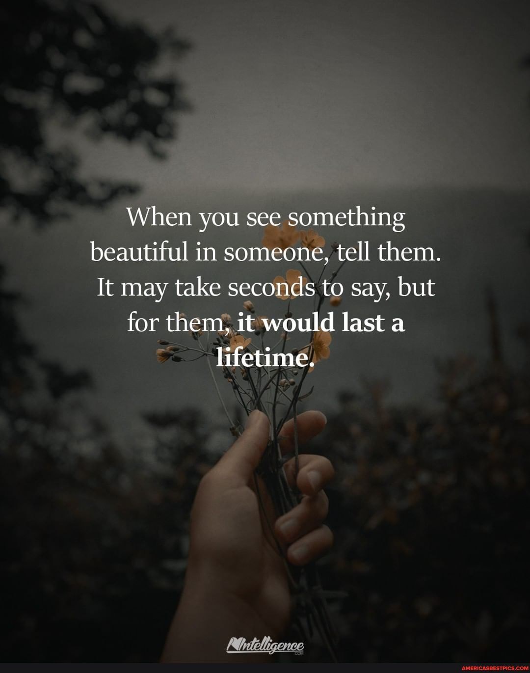 When you see something beautiful in someone, tell them. It may take ...