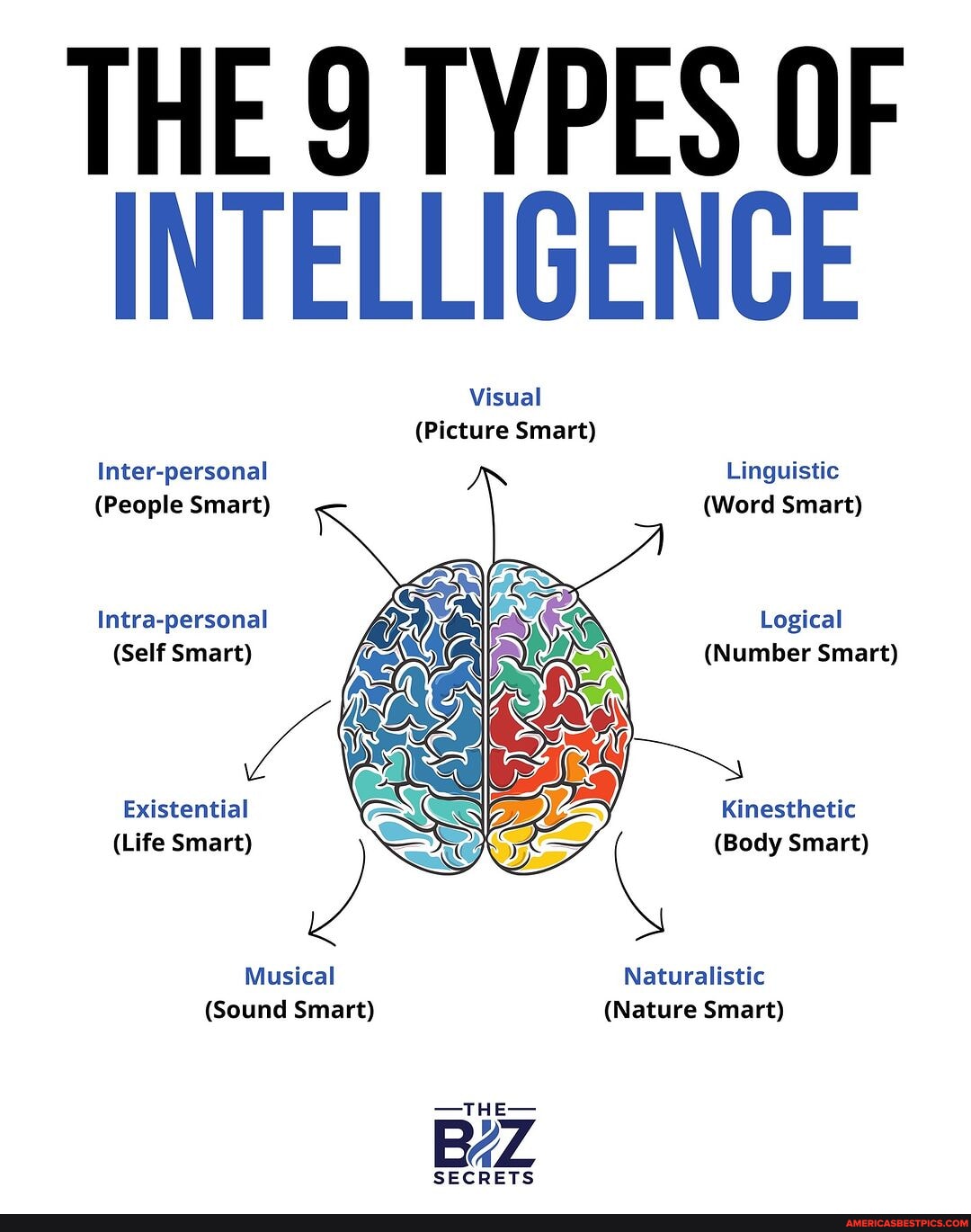 THE 9 TYPES OF INTELLIGENCE Visual (Picture Smart) Inter-personal ...