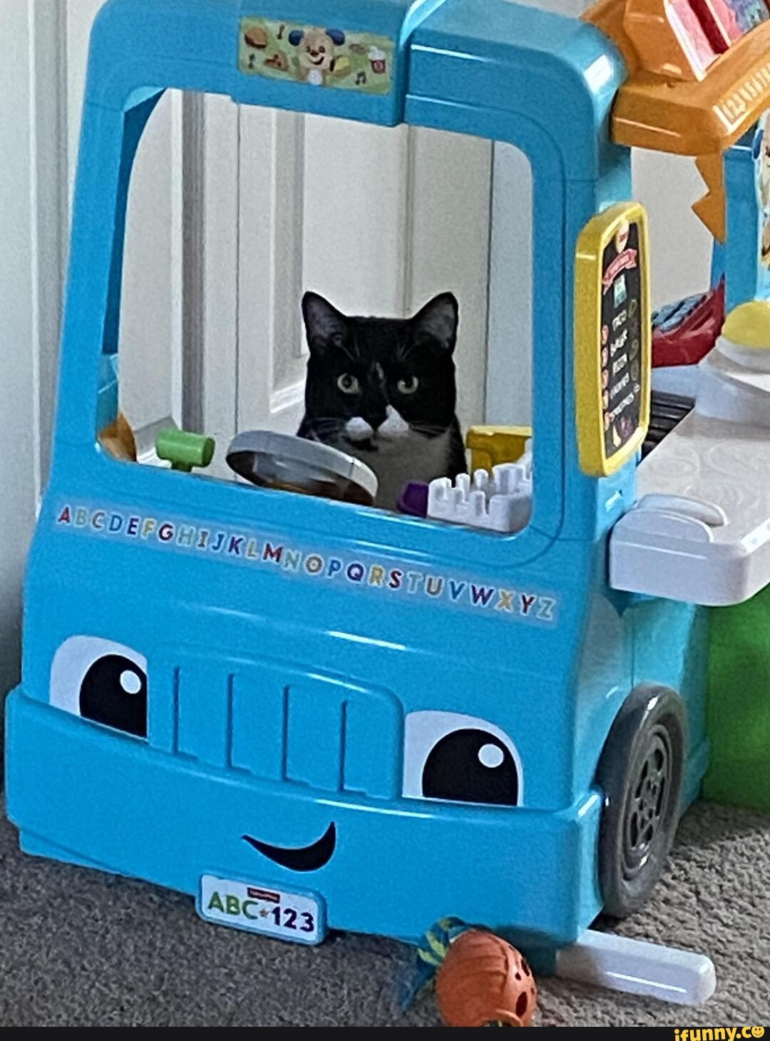 floyd, wants, play, vehicular, homicide