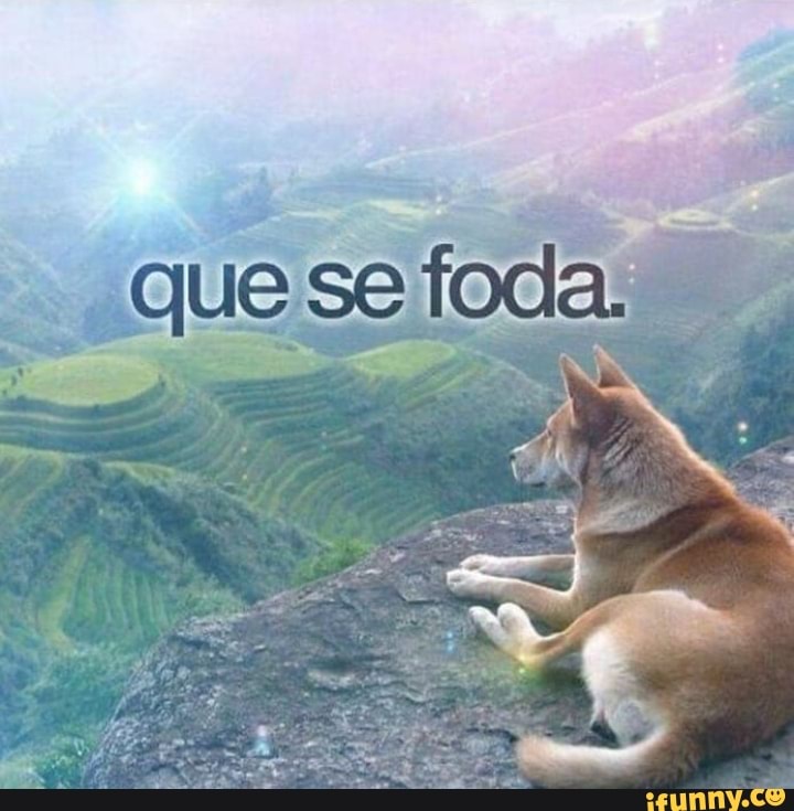 shitpost, shitpostbr, shitpostbrasil, shitposting, tendencia, coletivo, destaque, comentarios, comentários