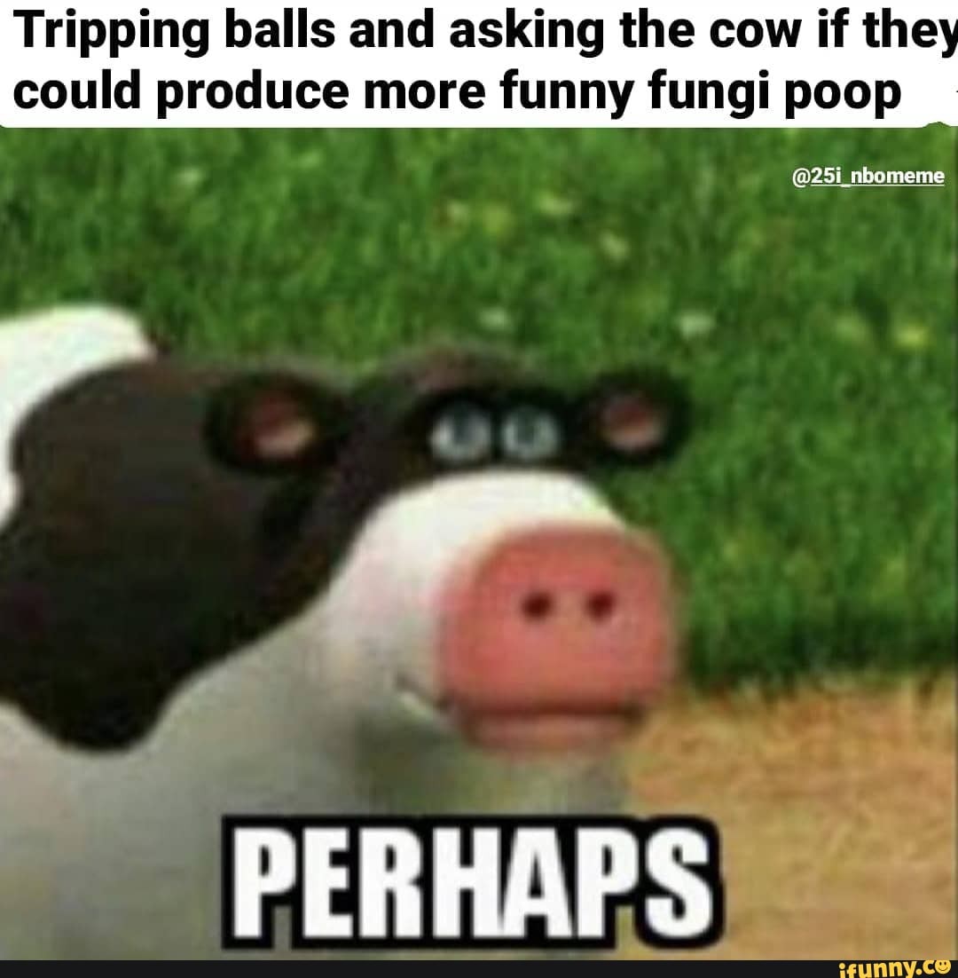 Tripping balls and asking the cow if the
could produce more funny fungi poop