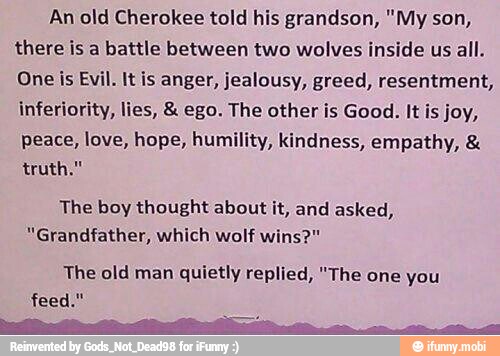 An old Cherokee told his grandson, "My son,
there is a battle between two wolves inside us all.
One is Evil. It is anger, jealousy, greed, resentment,
inferiority, lies, ego. The other is Good. It is joy,
peace, love, hope, humility, kindness, empathy, truth."
The boy thought about it, and asked,
"Grandfather, which wolf wins?"
The old man quietly replied, "The one you