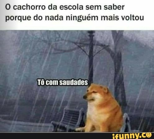 O cachorro da escola sem saber porque do nada ninguém mais voltou
To com saudades