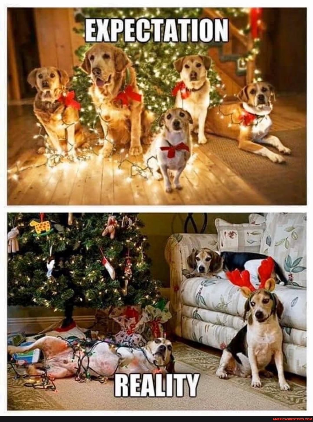 EXPECTATION
REALITY