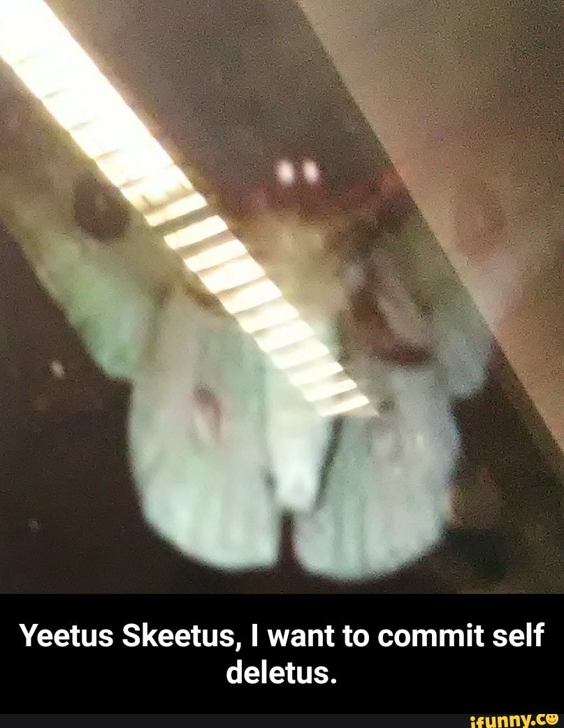 Yeetus Skeetus I Want To Commit Self Deletus Ifunny