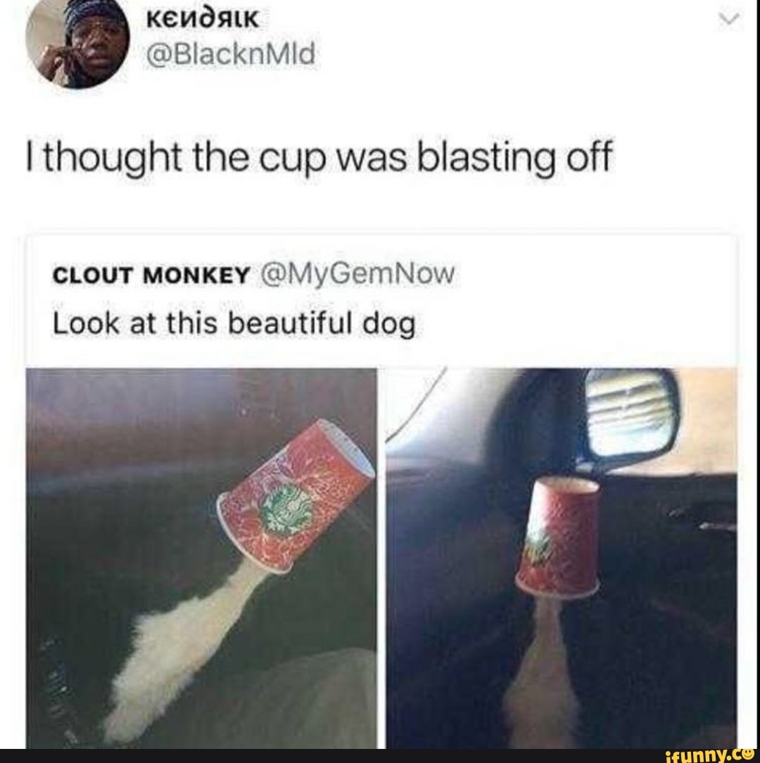 I thought the cup was blasting off
CLOUT MONKEY @©MyGemNow
Look at this beautiful dog