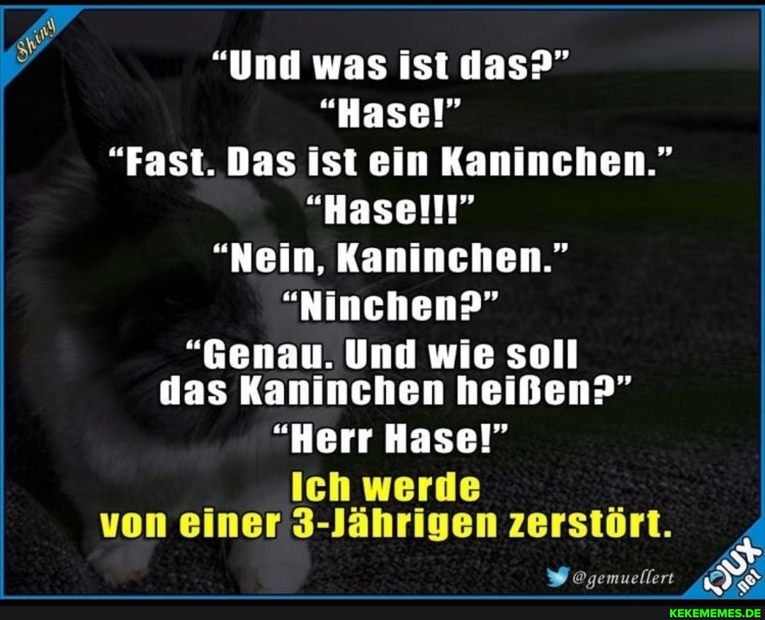 "Und was ist das?"
"Hase!"
"Fast. Das ist ein Kaninchen."
"Hasell!"
"Nein, Kaninchen."
"Ninchen?"
"Genau. Und wie soll das Kaninchen heißen?"
"Herr Hase!"
eh werde
von einer 3-Jährigen zerstört.
@gemu ellert