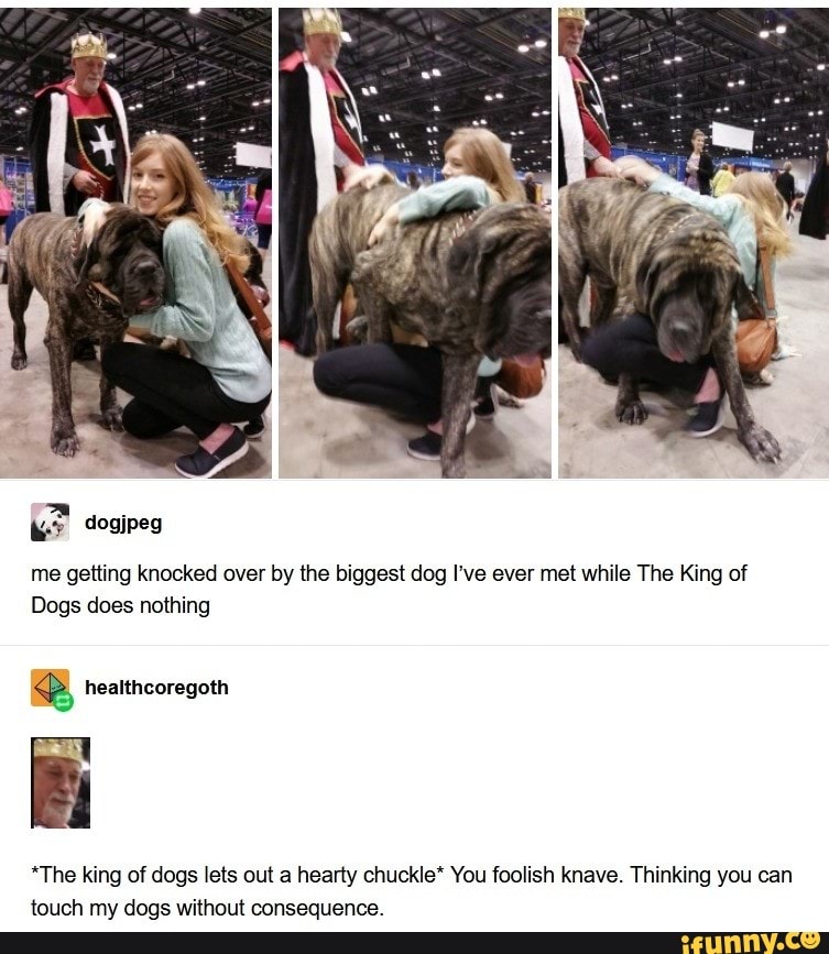 G,? me getting knocked over by the biggest dog I've ever met while The