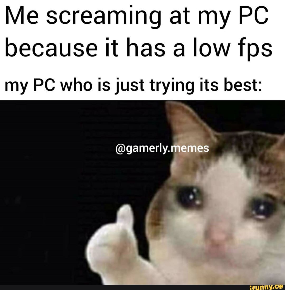 Me Screaming At My Pc Because It Has A Low Fps My Pc Who Is Just Trying Its Best Gamerly Memes Ifunny