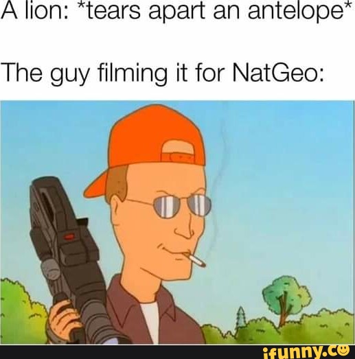 dale gribble meme