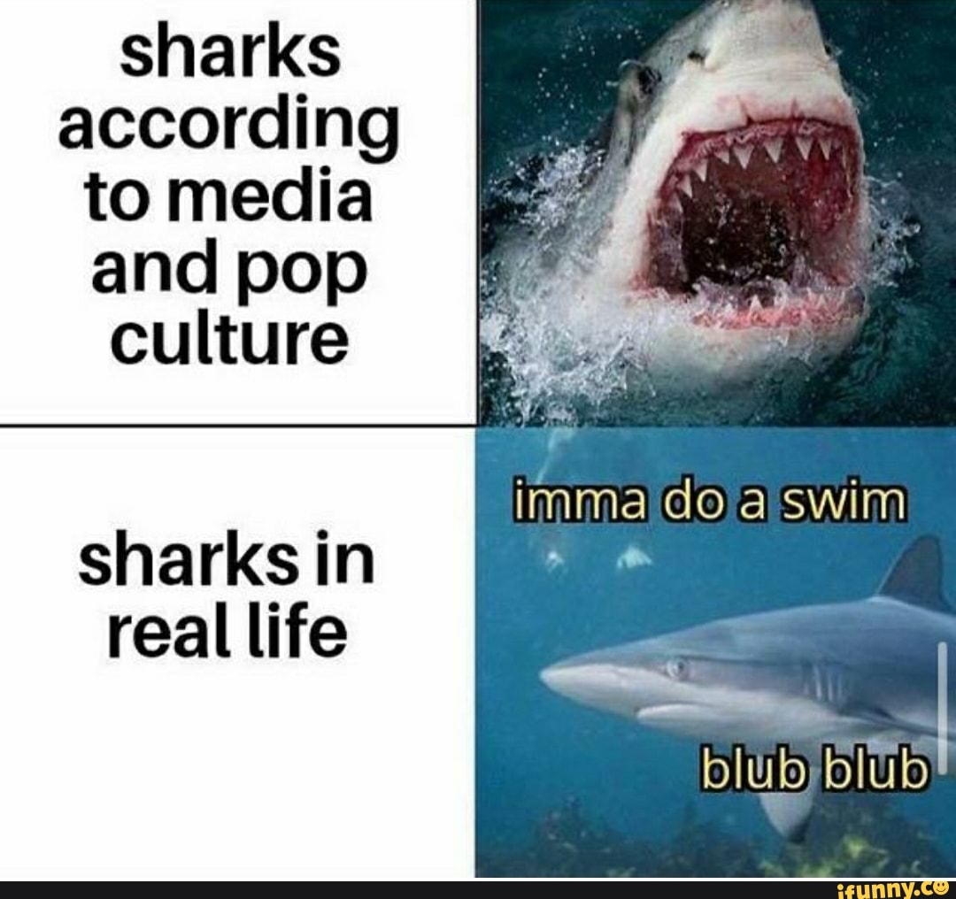 sharks
according
to media
andpop
E
RS
culture a i
É
imma do aiswim
sharks in real life