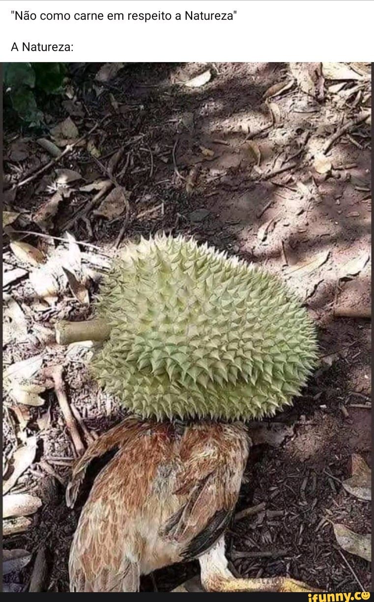 "Não como carne em respeito a Natureza"
A Natureza: