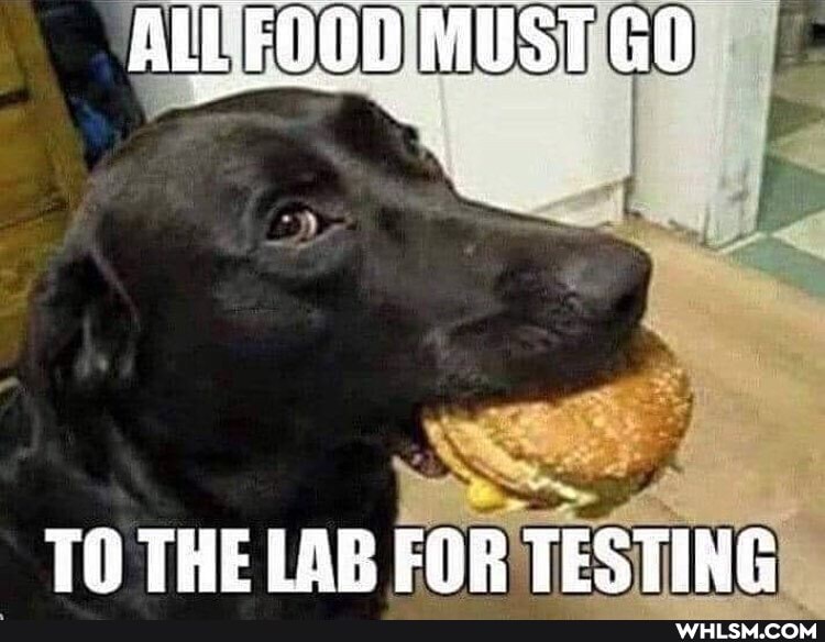 TO THE LAB FOR TESTING