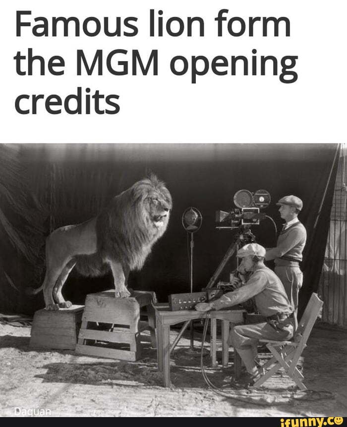Famous lion form the MGM opening credits iFunny