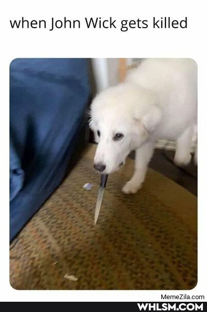 when John Wick gets killed