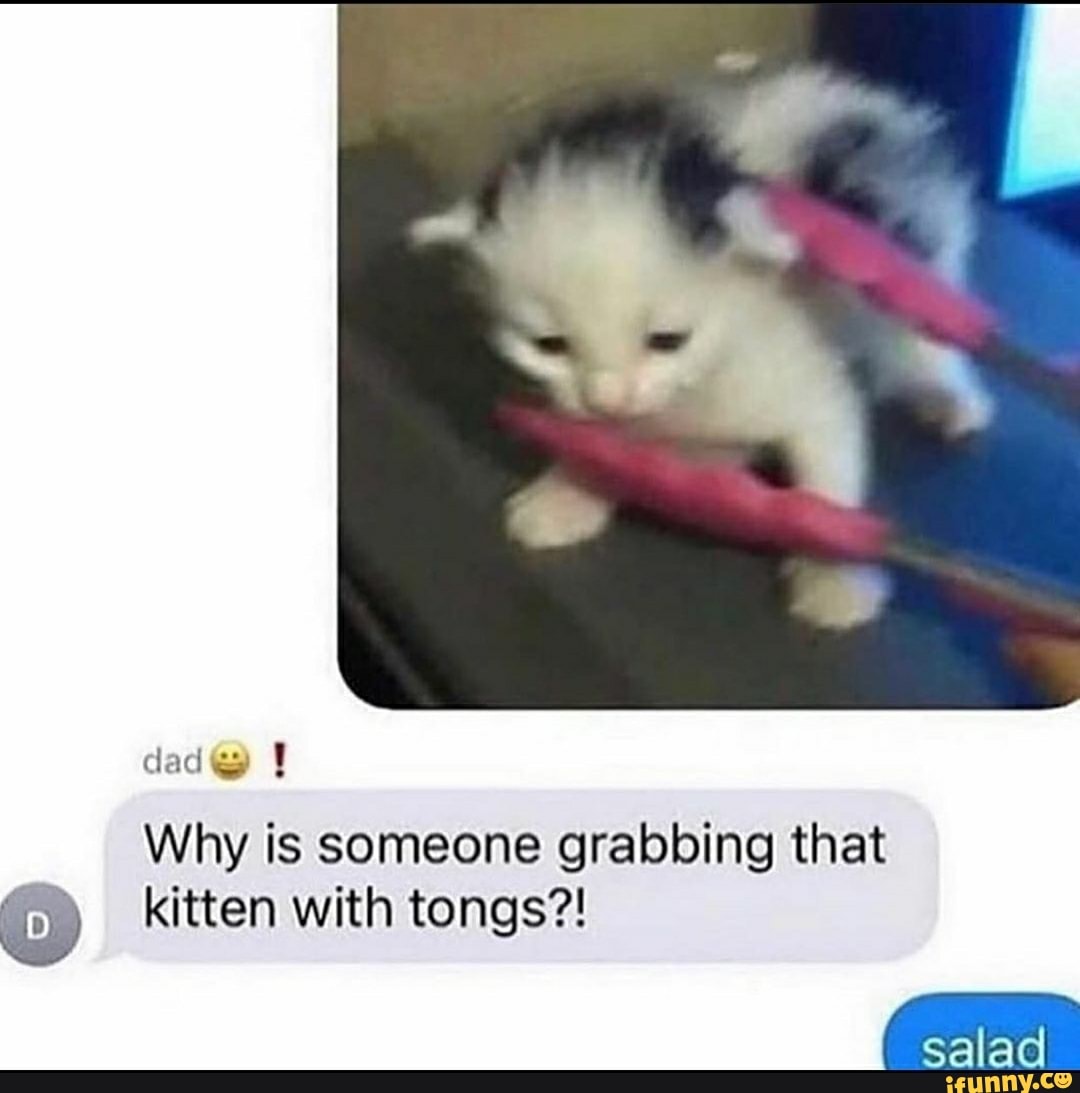 dad@
Why is someone grabbing that kitten with tongs?!
salac