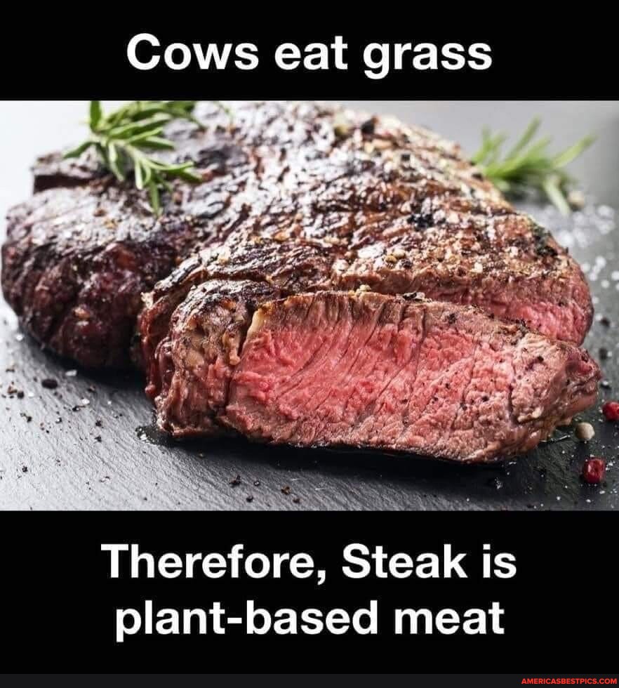 Cows eat it grass Therefore, Steak is plant-based meat - America’s best ...