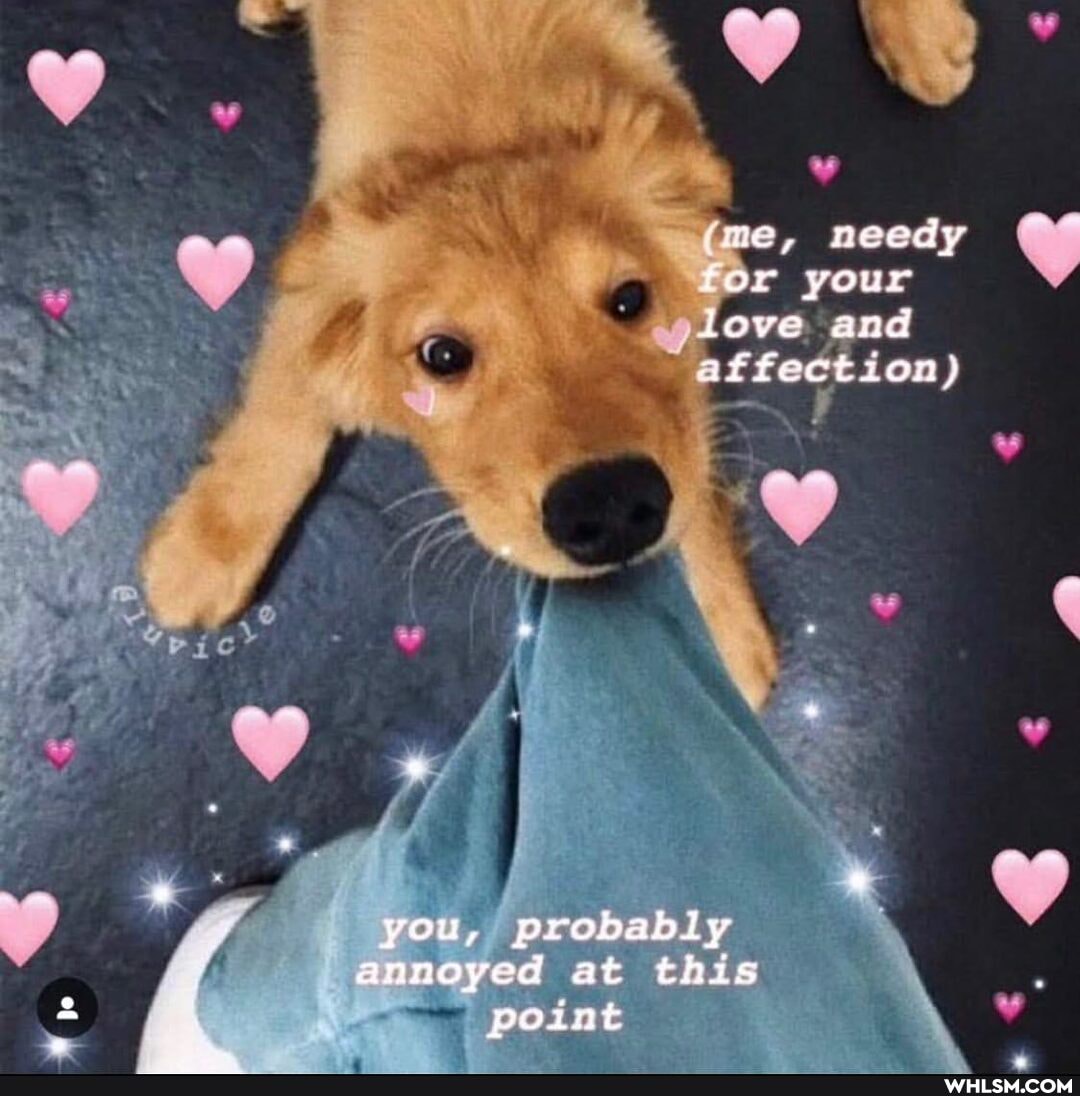 you, probably annoyed at this point
needy
your
love