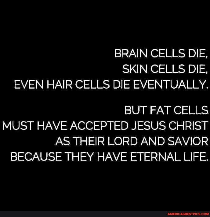 BRAIN CELLS DIE, SKIN CELLS DIE, EVEN HAIR CELLS DIE EVENTUALLY. BUT ...