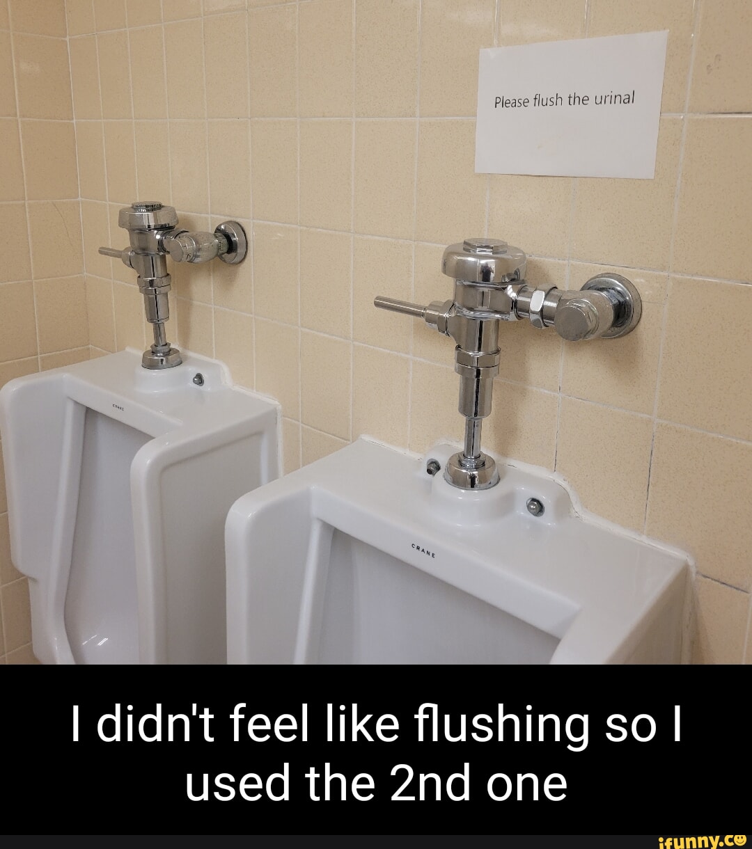 Please flush the urinal I didn't feel like flushing so I used the one ...