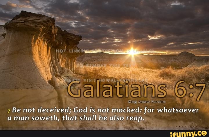 An Be not deceived; God is not mocked: for whatsoever aman soweth, that ...