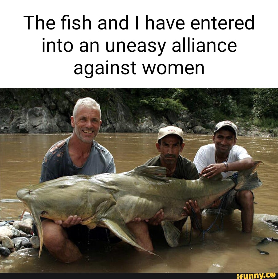 The fish and I have entered into an uneasy alliance against women - iFunny