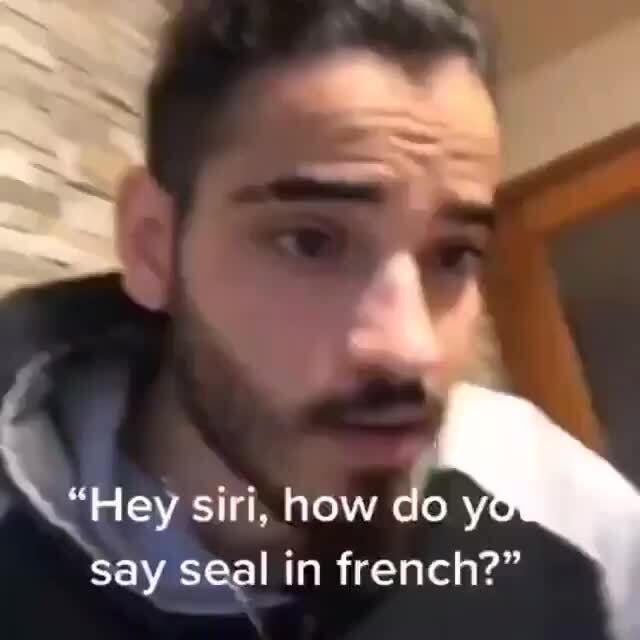 E Siri How Do Y Say Seal In French Ifunny