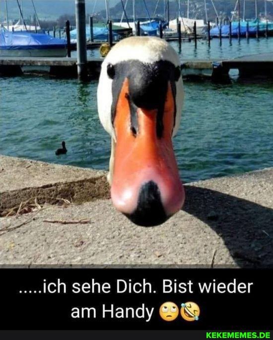 ich sehe Dich. Bist wieder am Handy