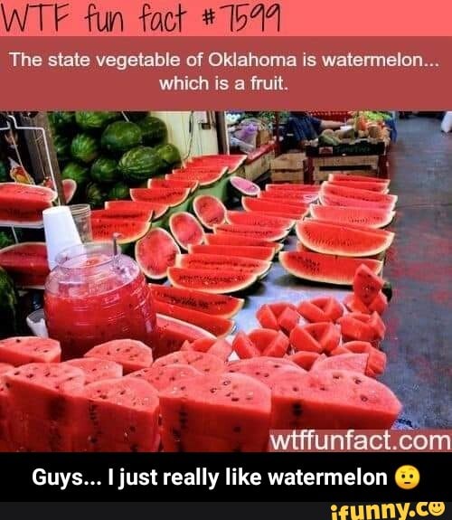 WTF fun fact +16
Guys... I just really like watermelon - Guys... I just really like watermelon 🤨