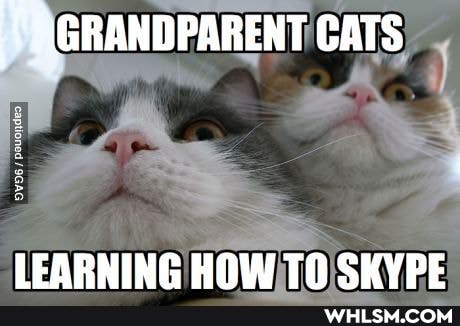 XGRANDPARENT CATS
LEARNING HOW TH SKVPE