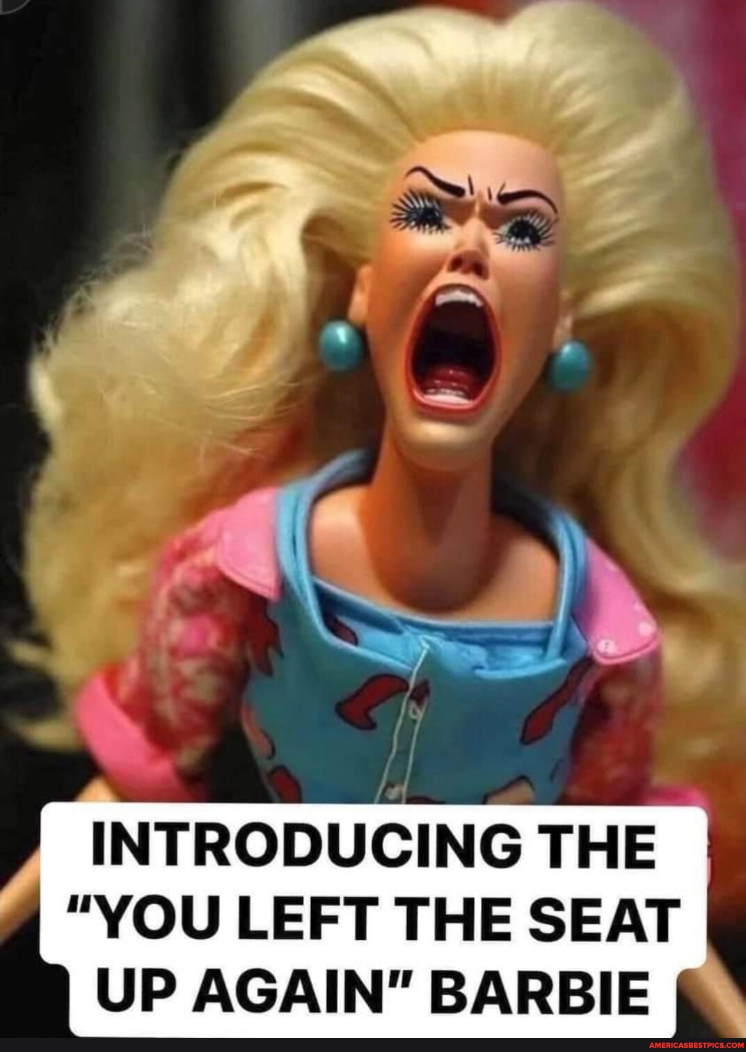 INTRODUCING THE "YOU LEFT THE SEAT UP AGAIN" BARBIE America’s best