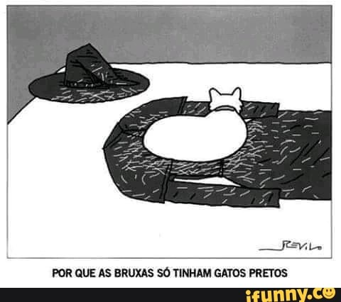 POR QUE AS BRUXAS SÓ TINHAM GATOS PRETOS