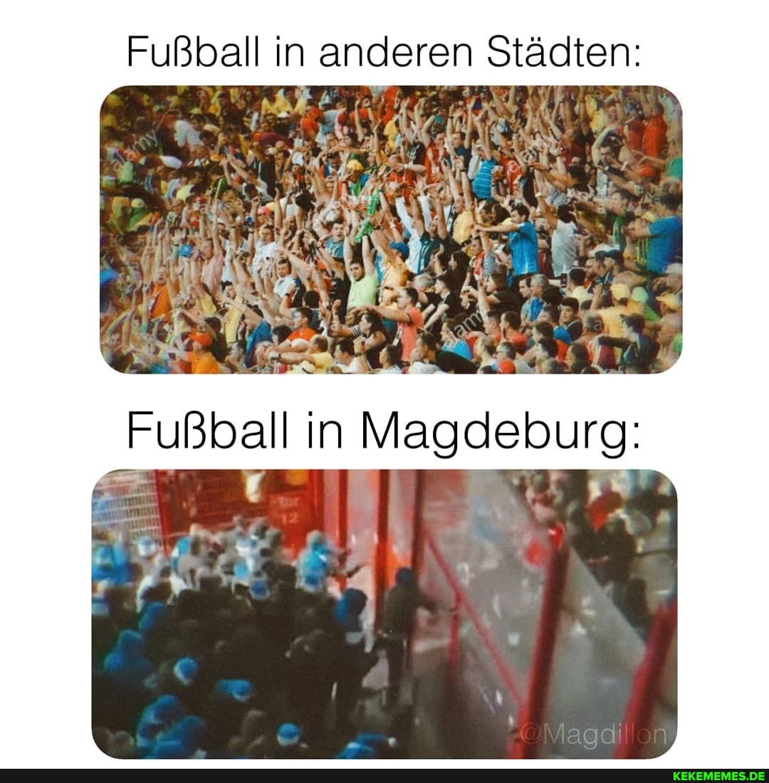 Fußball in anderen Städten:
Fußball in Magdeburg:
