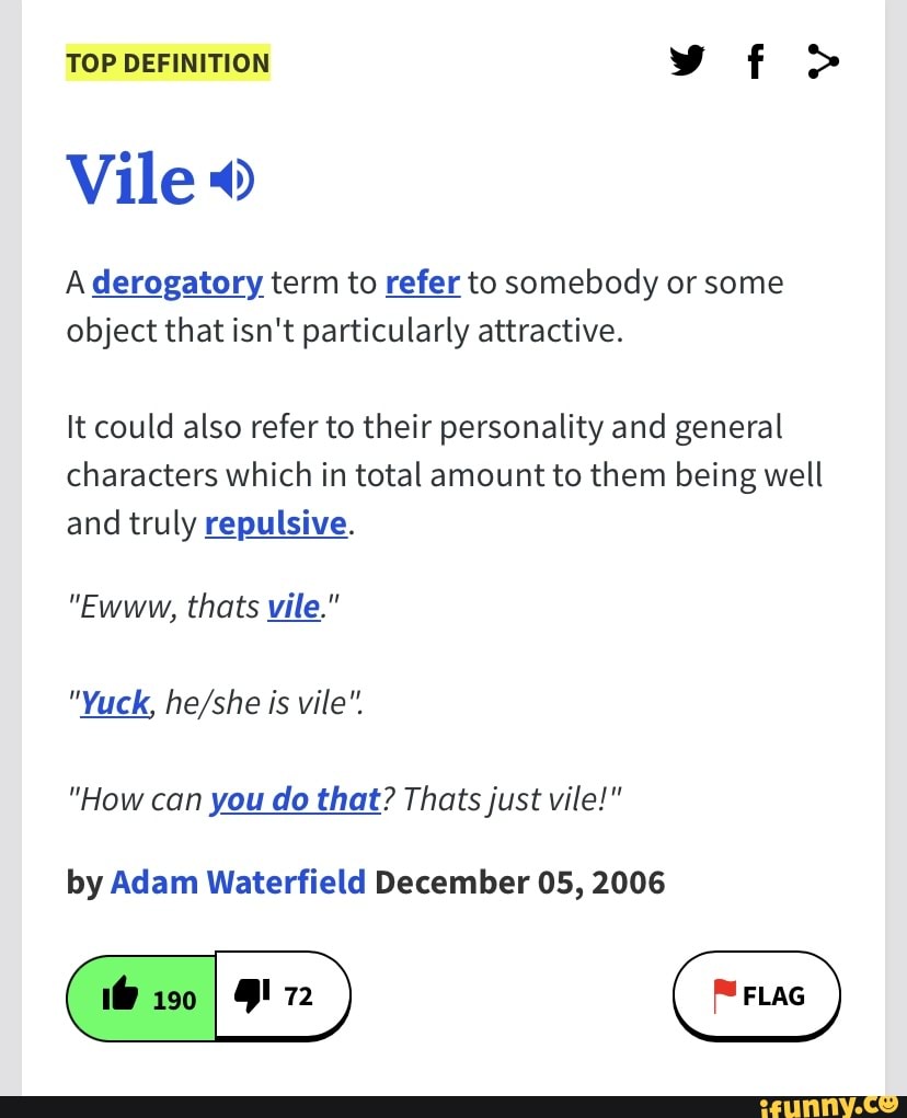 TOP DEFINITION vf > Vile A derogatory term to refer to somebody or some