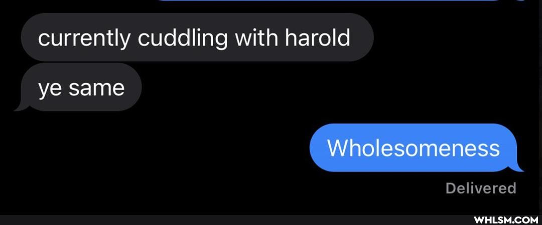 currently cuddling with harold
ye same
Wholesomeness
Delivered