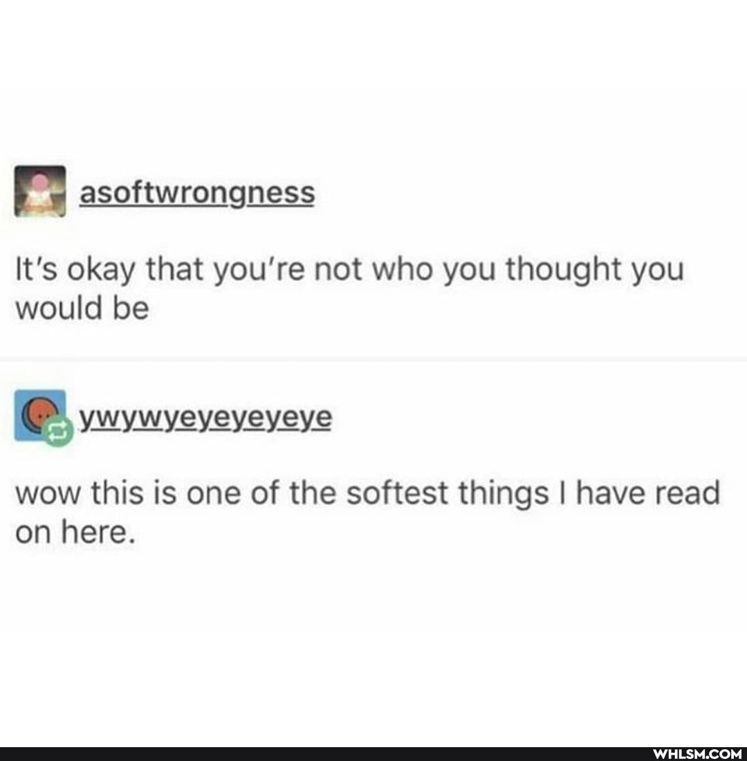 asoftwrongness
It's okay that you're not who you thought you would be
BB wwwveveveveve
wow this is one of the softest things I have read on here.