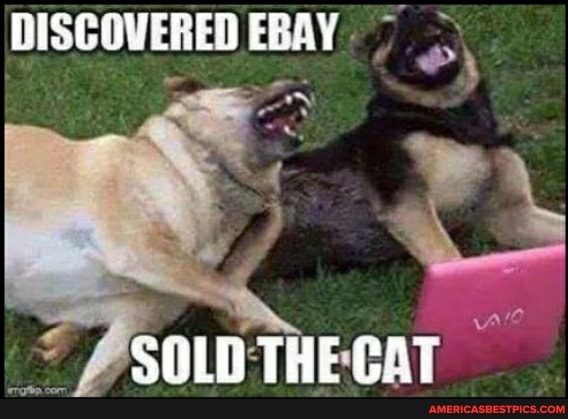 DISCOVERED EBAY
THE GAT