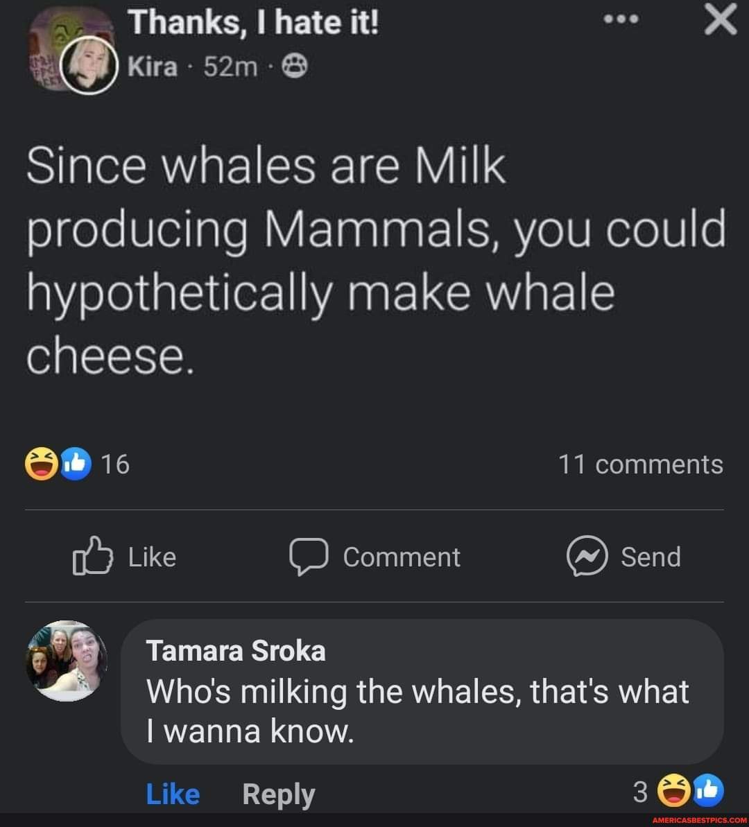 Thanks, I hate it! since whales are Milk producing Mammals, you could