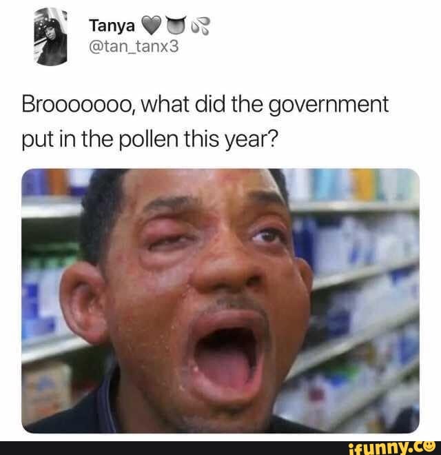 * Tanya
@tan_tanx3
Brooooooo, what did the government put in the pollen this year?