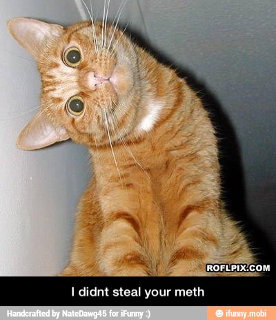 I didnt steal your meth - I didnt steal your meth