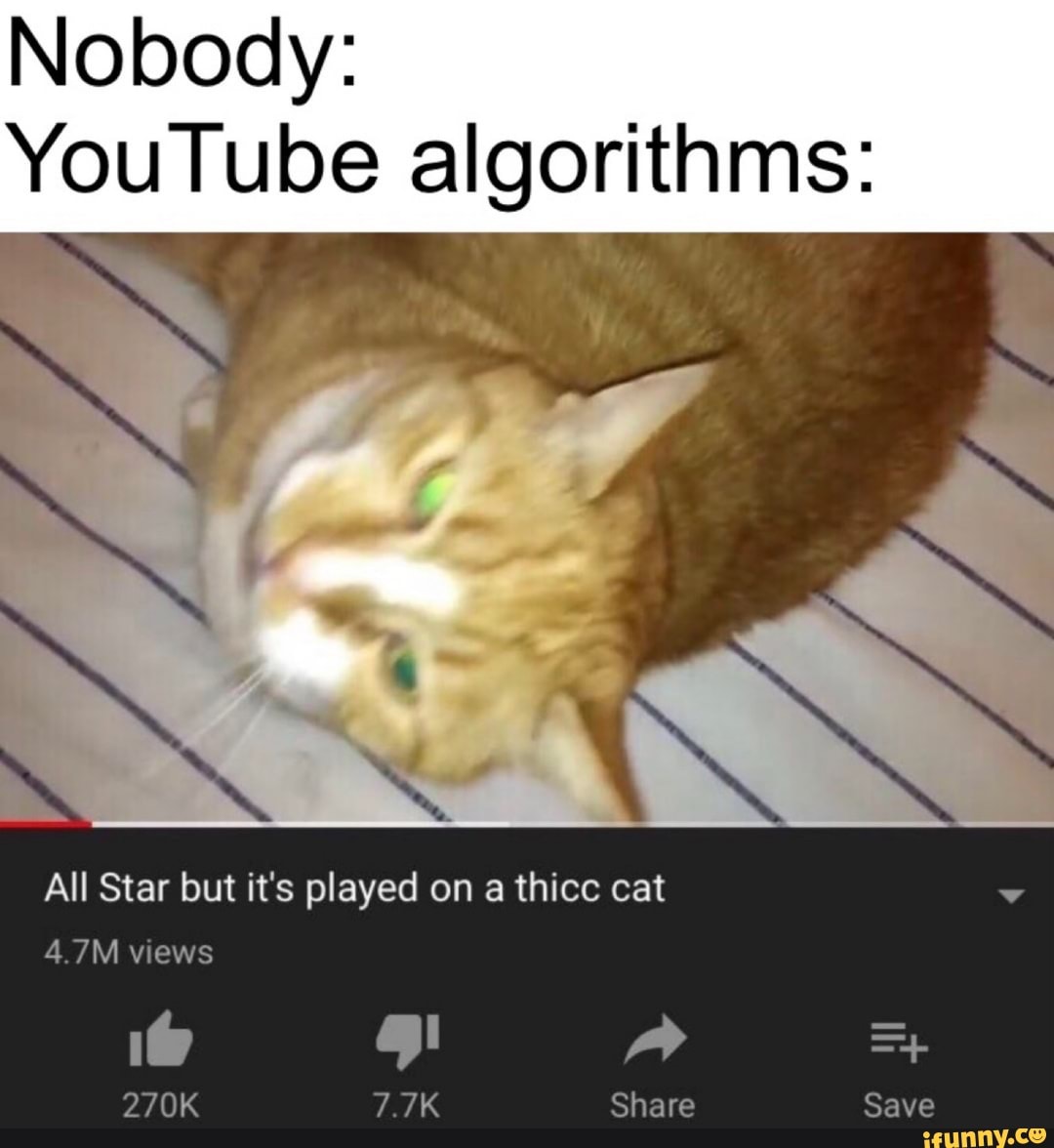 Nobody:
YouTube algorithms:
All Star but it's played on a thicc cat
4.7M views
270K 7.7K Share Save