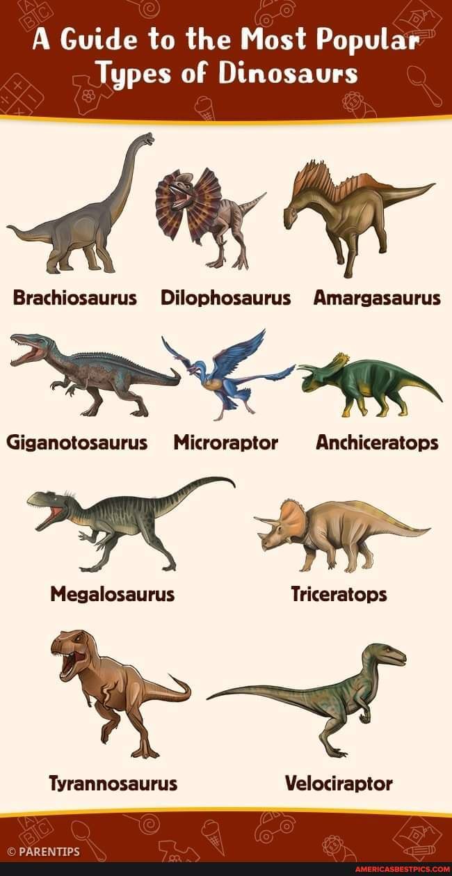 A Guide To The Most Popular Types Of Dinosaurs - A Guide To The Most 