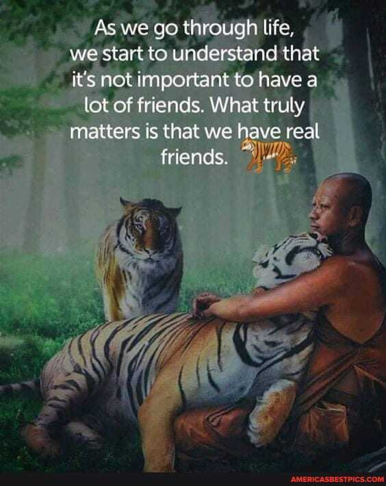 As we go through life, we Start to understand that it's Not important to have a
lot of friends. What truly matters is that we have real friends.