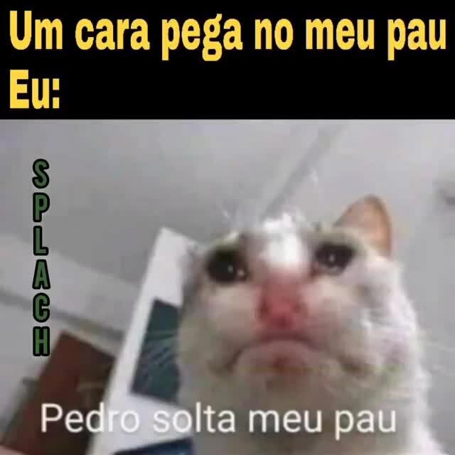 COPIARAM E ROUBARAM O MX GRAU NA CARA DE PAU 😡 ‹ GLM › 