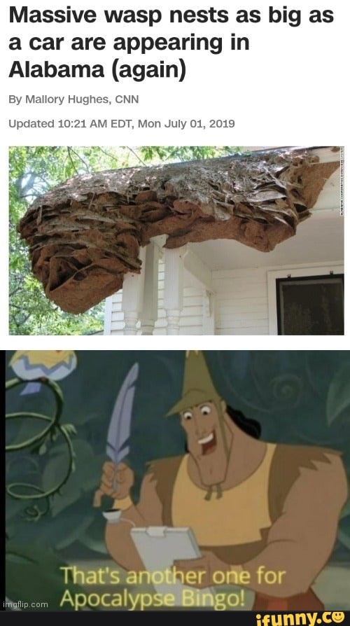 Massive wasp nests as big as
a car are appearing in
Alabama (again)
By Mallory Hughes, CNN
Updated 10:21 AM EDT, Mon July 01, 2019