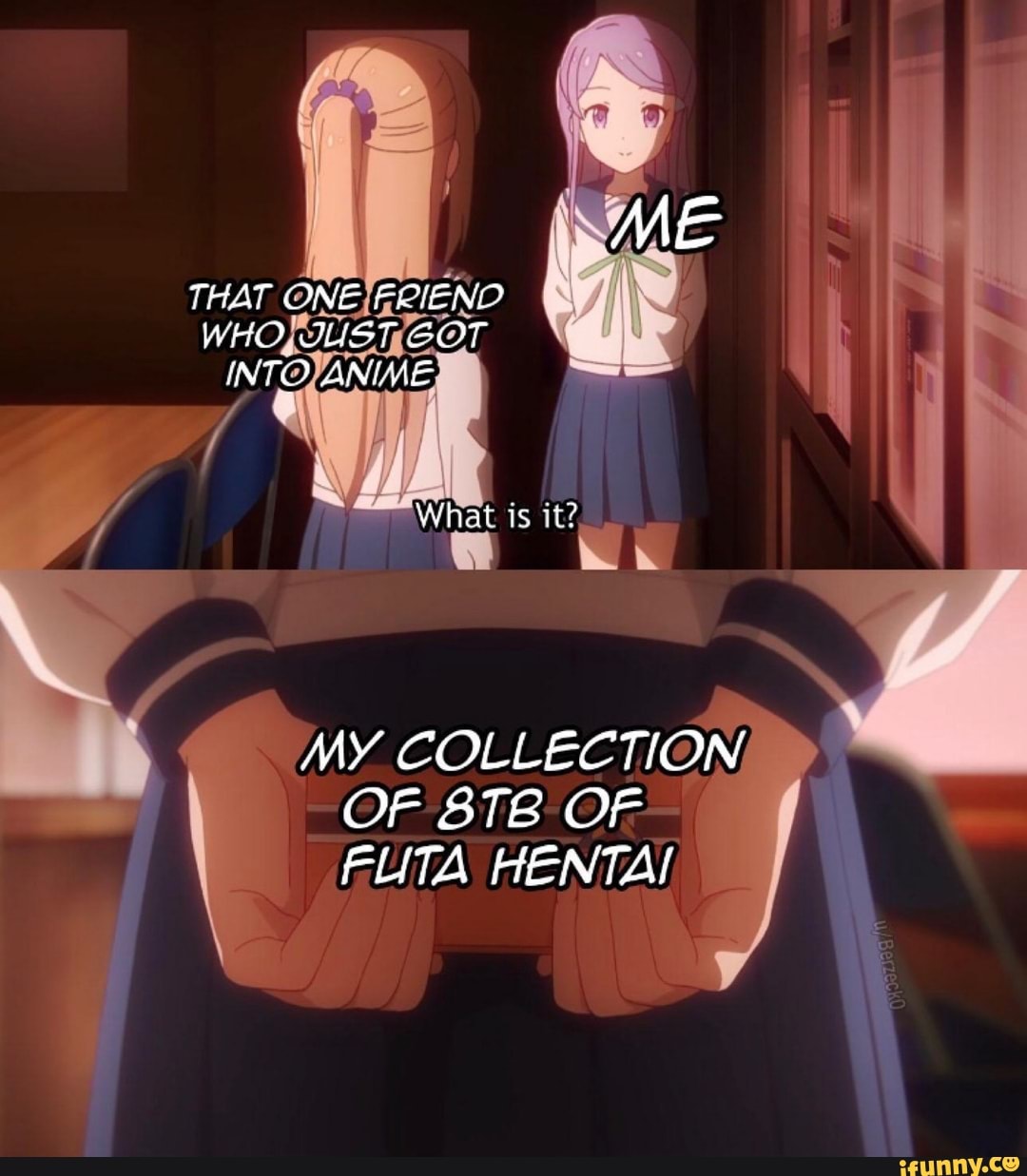 ME THAT ONE FRIENO WHO GUST GOT INTO ANIME at MY COLLECTION OF OF FUTA  HENTAI - iFunny