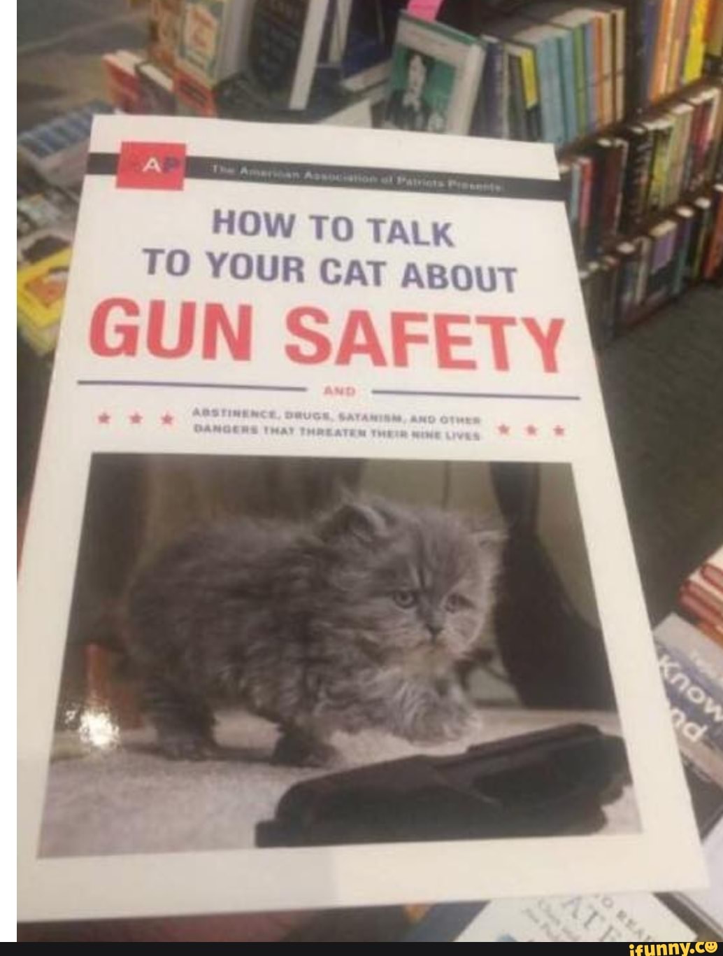 HOW TO TALK TO YOUR CAT ABOUT GUN GUN SAFETY iFunny