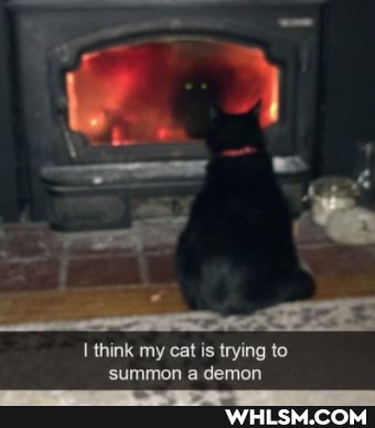 I think my cat is trying to summon a demon